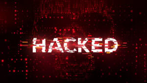 Comment détecter les botnets